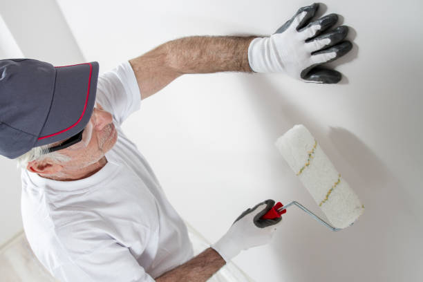 Best Mold Remediation for Vacation Homes  in Kahaluu, HI