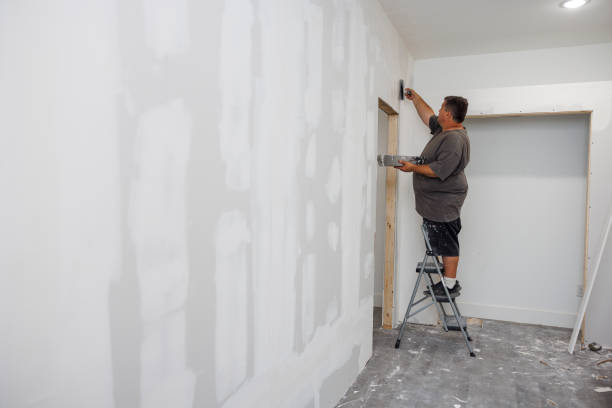 Kahaluu, HI Mold Removal Company