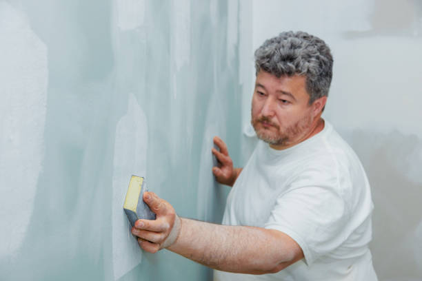 Mold Odor Removal Services in Kahaluu, HI